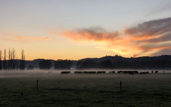 Sunrise in Waikato