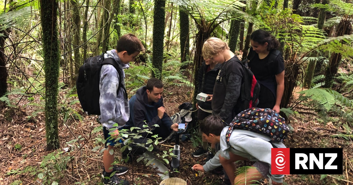 Taranaki conservation project convinced AI can be force for good