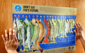 Fiji fish size limit poster