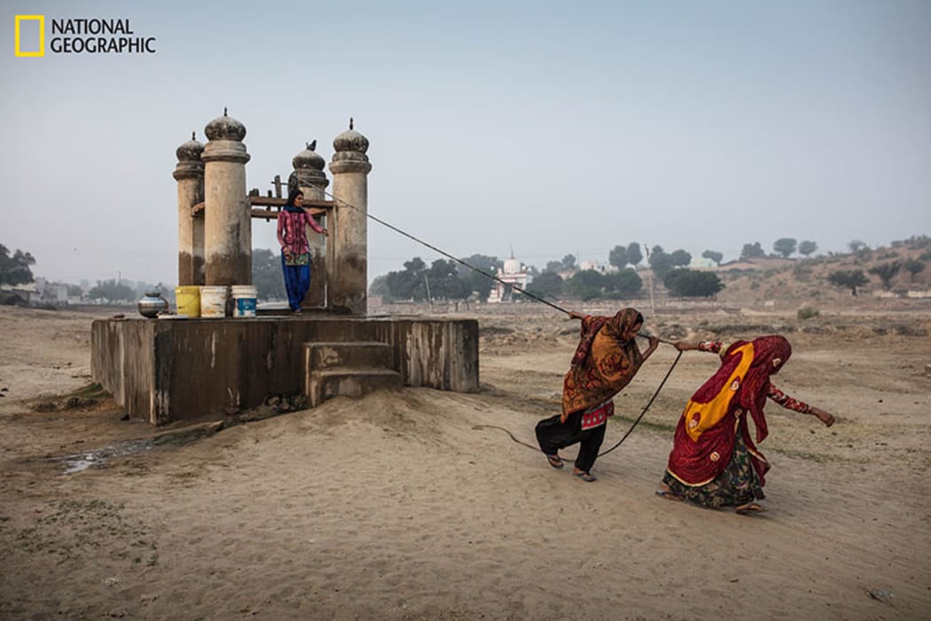 Women strain to haul water from a well in Dongra, in the Indian desert state of Rajasthan. India is in the grip of a catastrophic water crisis.