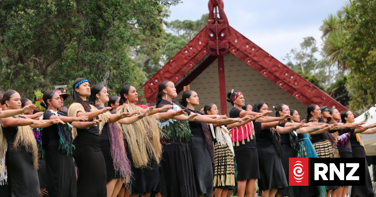 Leaders encourage Māori to vote in upcoming election as Waitangi draws near