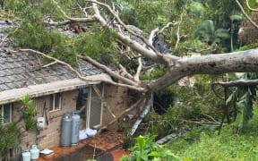 This Gold Coast home sustained damage from a fallen tree.