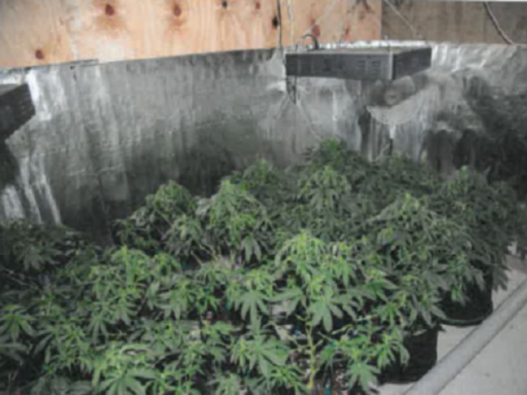Part of a rural property near Greymouth and $10,000 in cash have been forfeited following a police investigation into a cannabis operation on the West Coast.