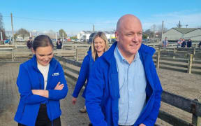 National Party leader Christopher Luxon and party candidates during a walk around of Stortford Sale Yards in Hastings as party of election campaign trail on 4 September, 2023.