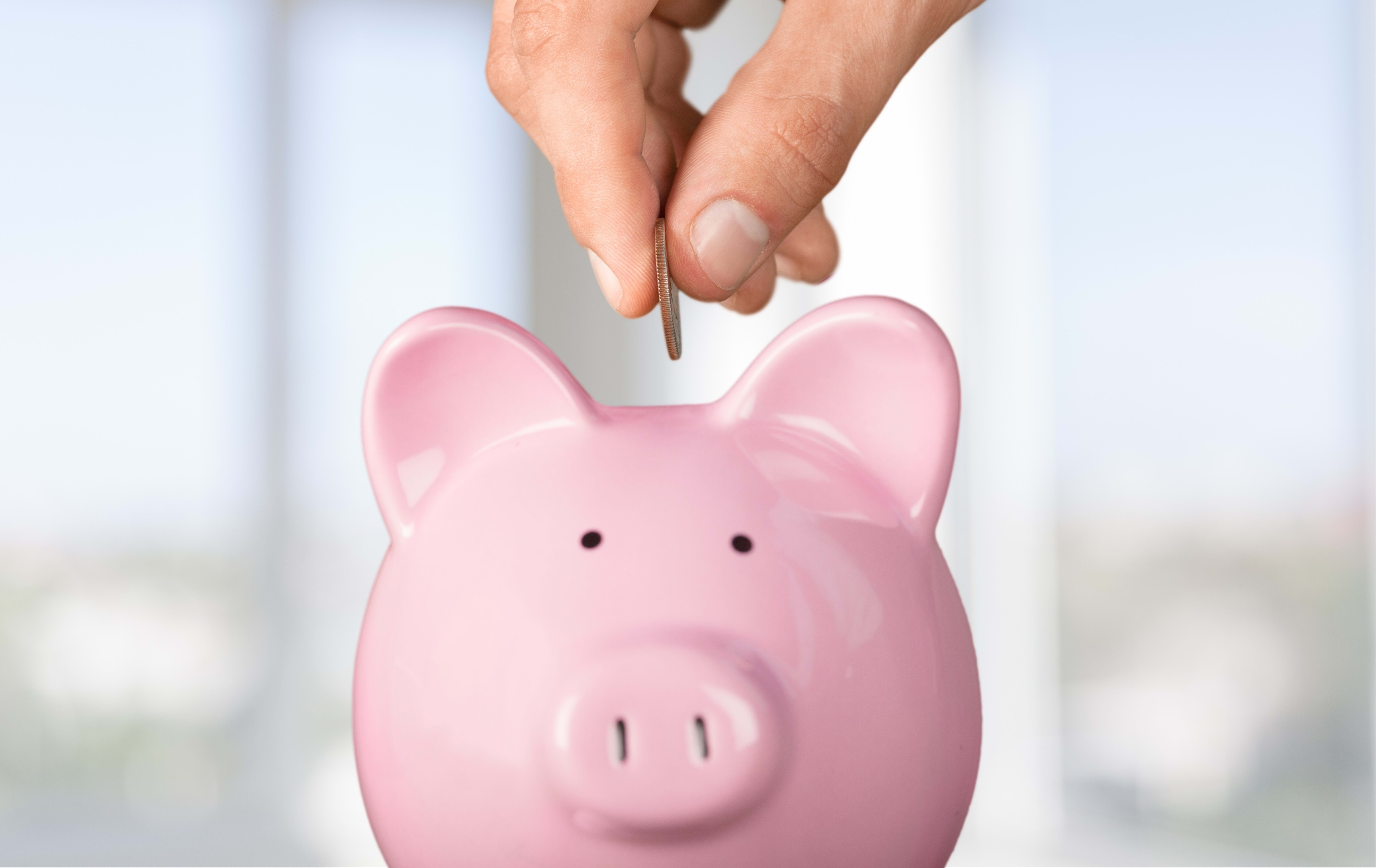 Piggy Bank.