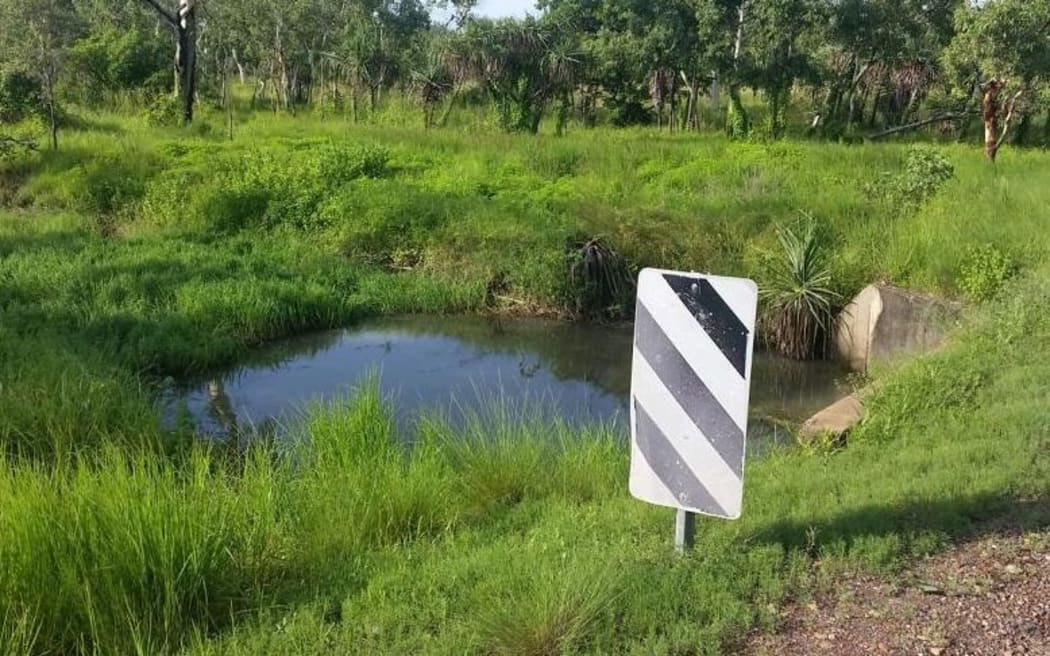 Kakadu crocodile