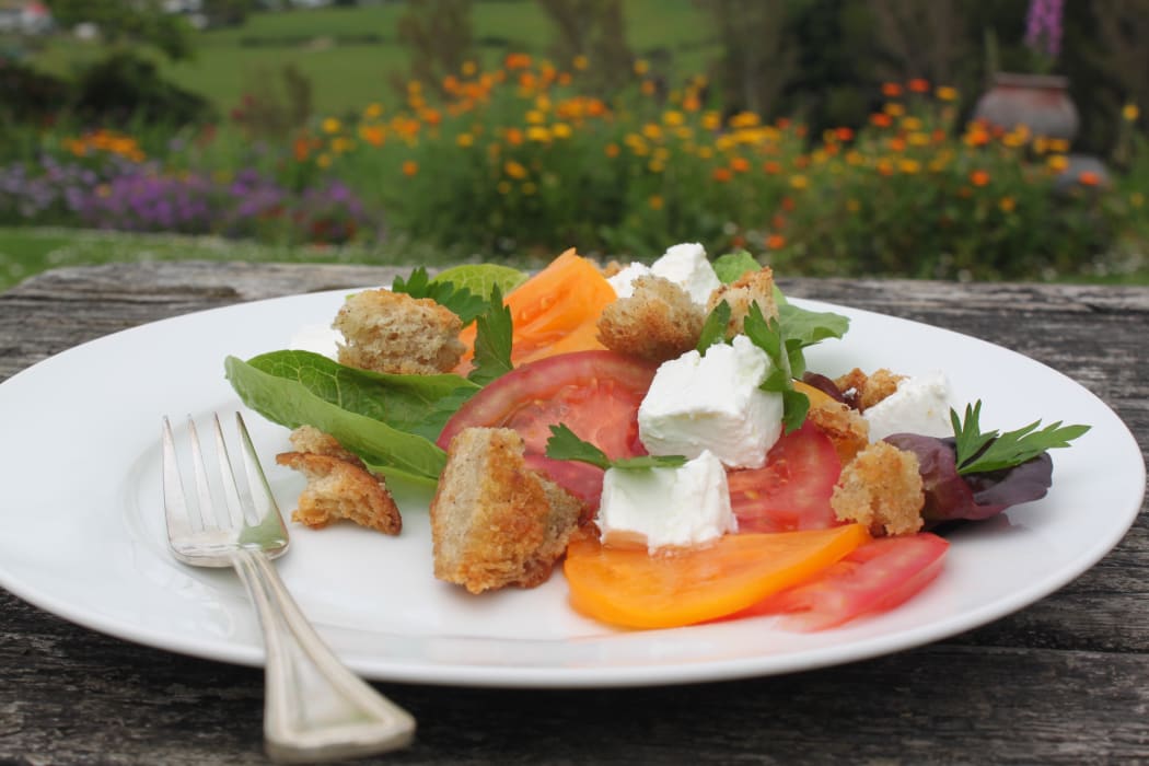 Marinated buffalo cheese salad