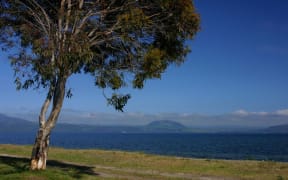 Lake Taupo