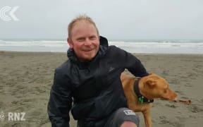Call for dog ban on beaches to protect penguins