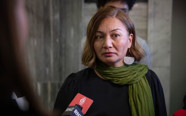 Green Party co-leader Marama Davidson