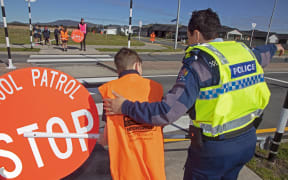 image of a school pedestrian crossing