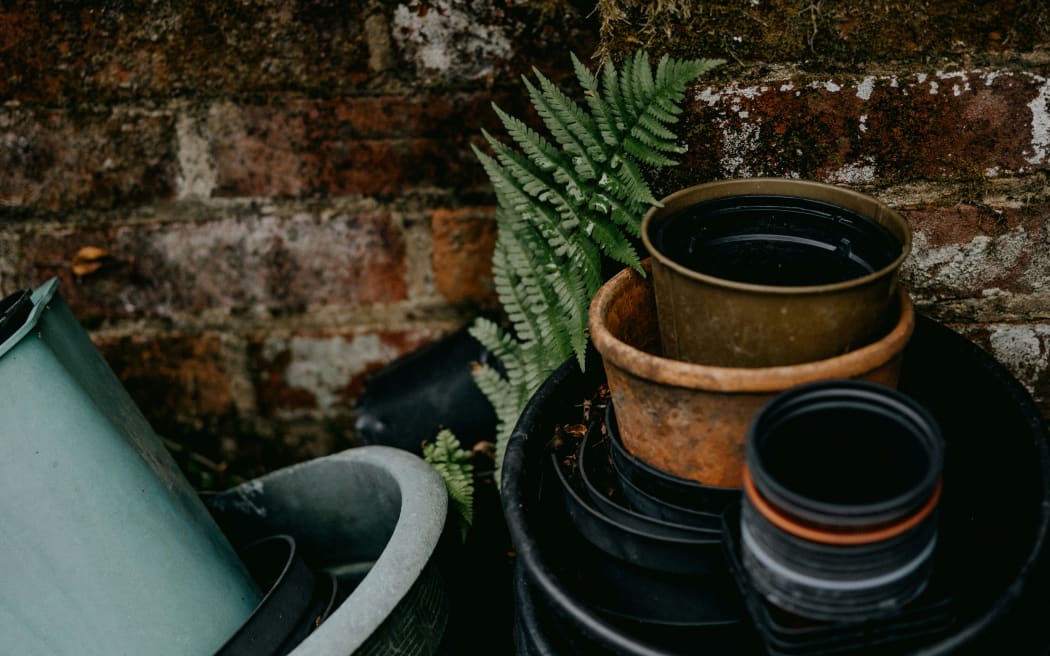 A stack of plant pots piled up in a yard, with a fern.