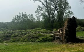Damage in Medbury North, Canterbury.