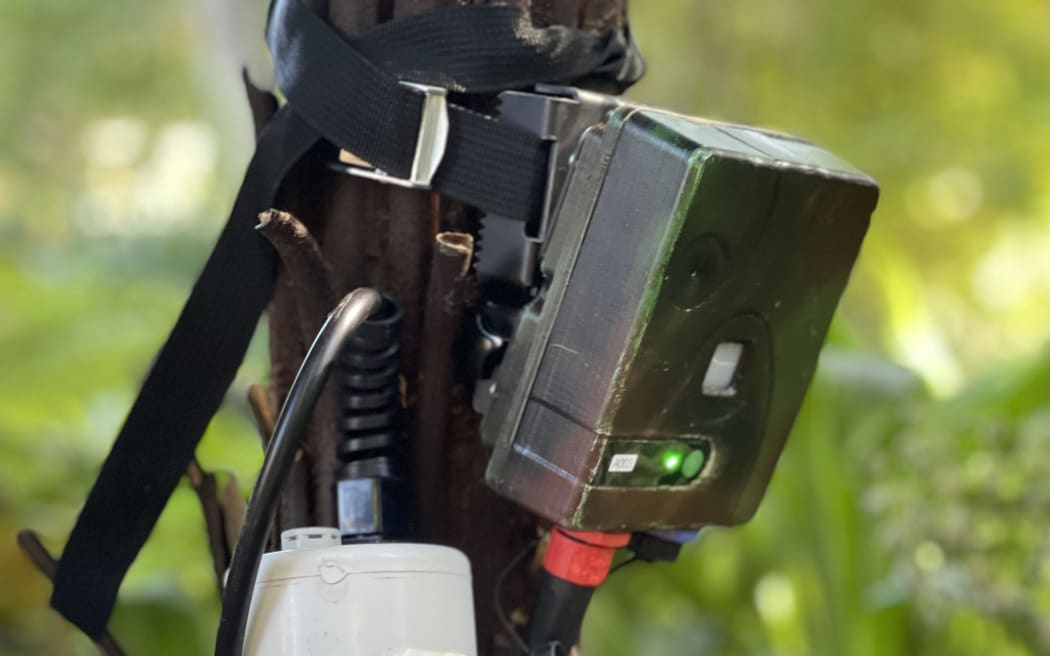 New thermal imaging cameras, named DOC AI CAM and developed by the Cacophony Project.