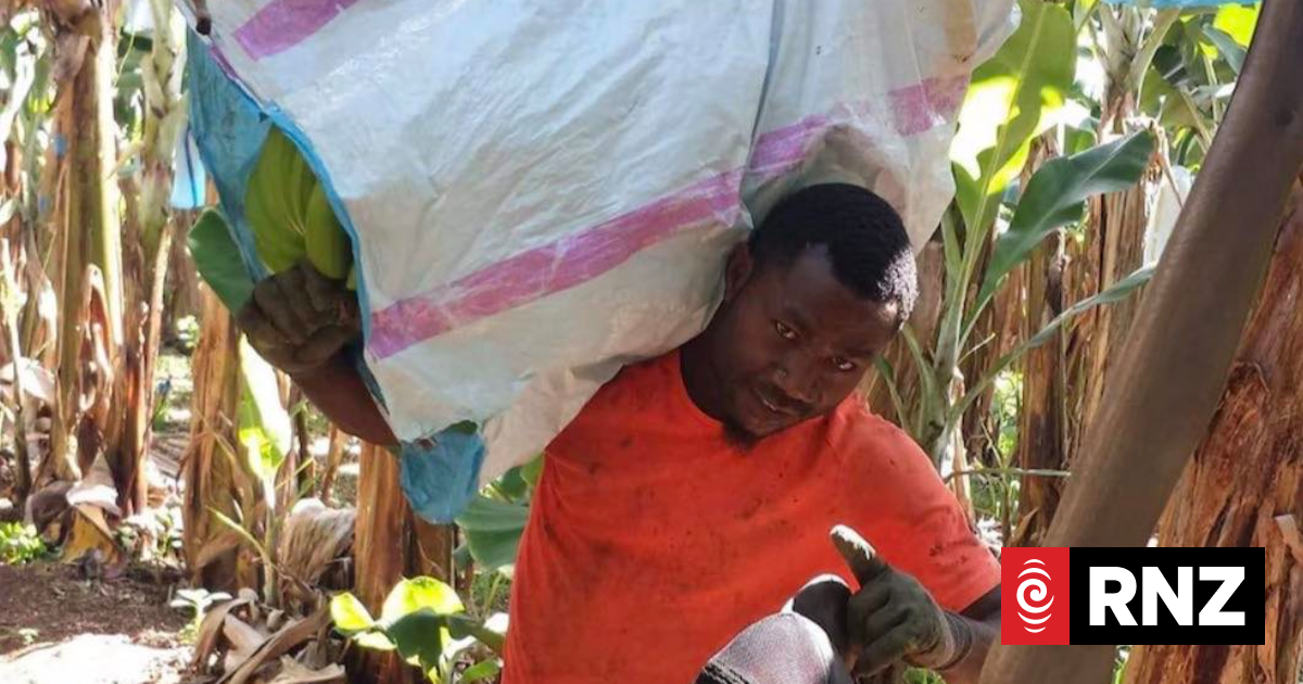 Ni-Vanuatu seasonal worker who sawed off Aussie pensioner's foot for cash may be released in months