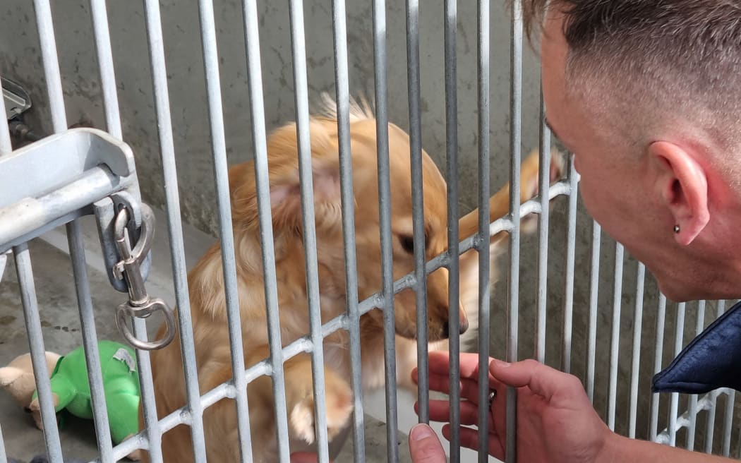 Tommy interacts with Maude the dog through bars.