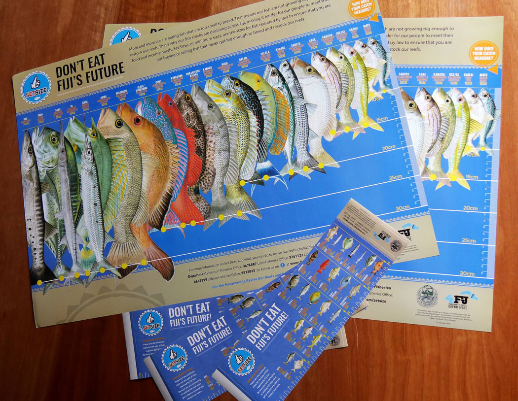 Fiji fish size limit poster
