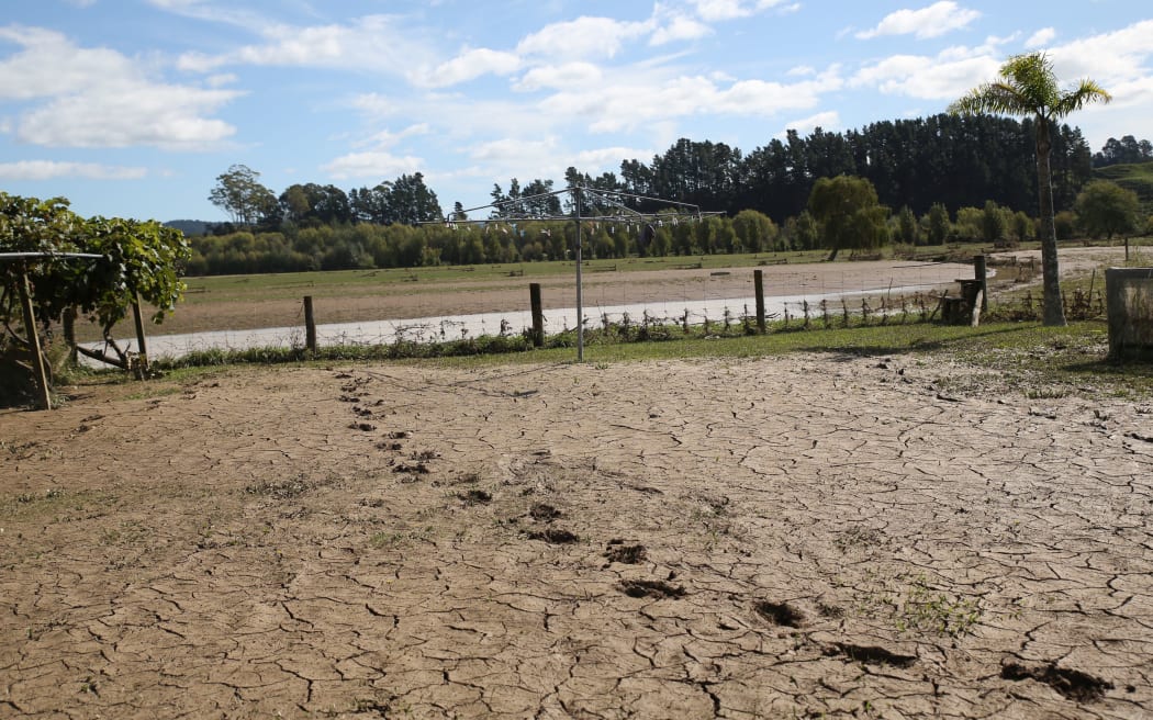 Graham Lyford's backyard after the flood.