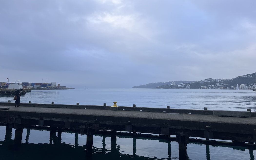 A search is underway in Wellington Harbour for a passenger who appears to have fallen overboard.