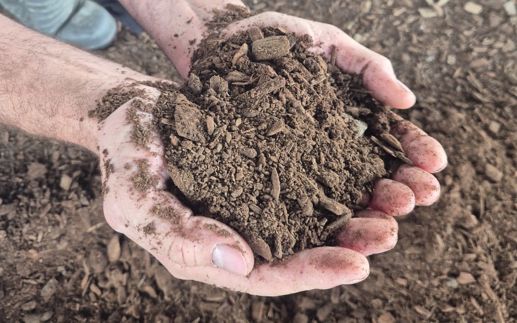 Carbon in the form of wood chips is laid out on the shed floor, which combined with the waste from cows, forms compost.