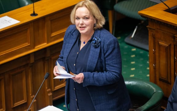 Defence Minister Judith Collins during the Committee of the Whole House stage