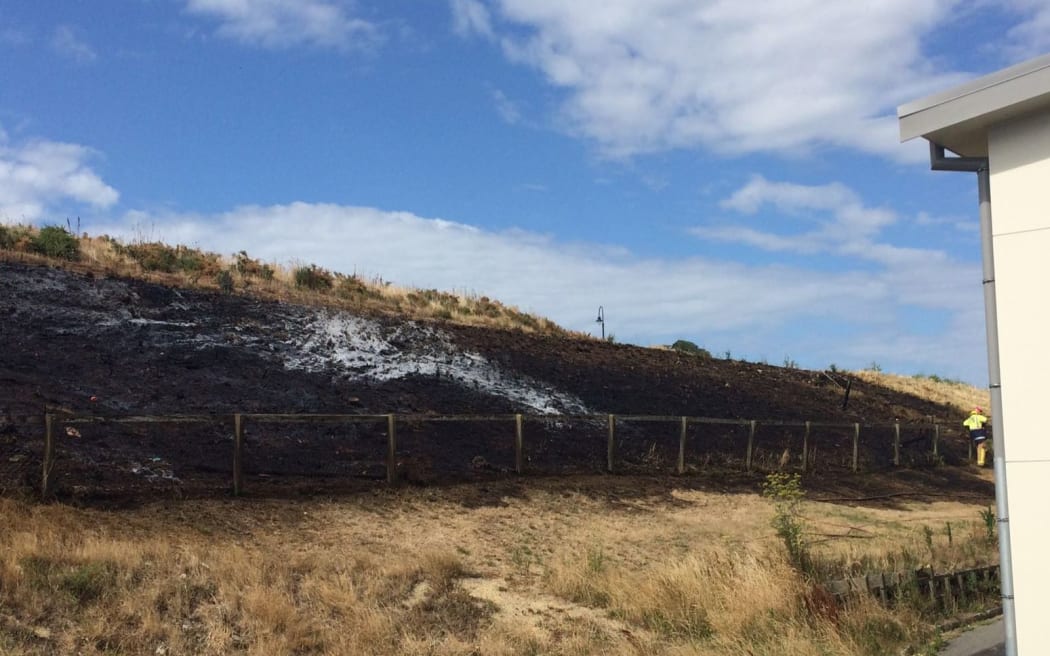 Burnt scrub near Aotea College