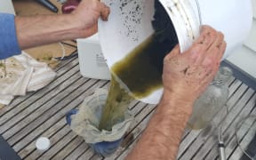 Taranaki man with cancer makes his own cannabis oil