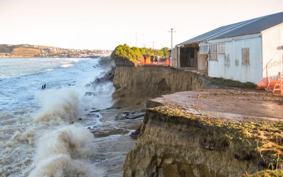 In June 2007, the coastal cliffs at Oamaru lost a lot of ground, including a conservation area for blue penguins and the factory seen here.