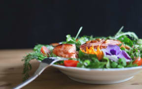salmon salad