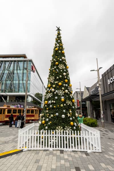 Christchurch Christmas Tree