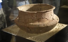 Some of the complete pots that have been unearthed at the Teouma cemetery.