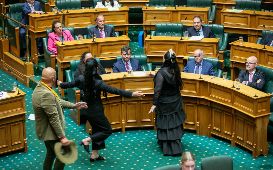 Members of Te Pati Maori do a haka in front of Act Party members in Parliament during the first reading of the Treaty Principles Bill on 14 November.