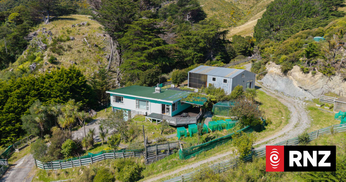 Ten hours of mahi a week - can you handle off-grid life?