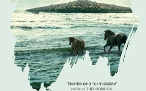 Book cover of The Horses by Janina Matthewson