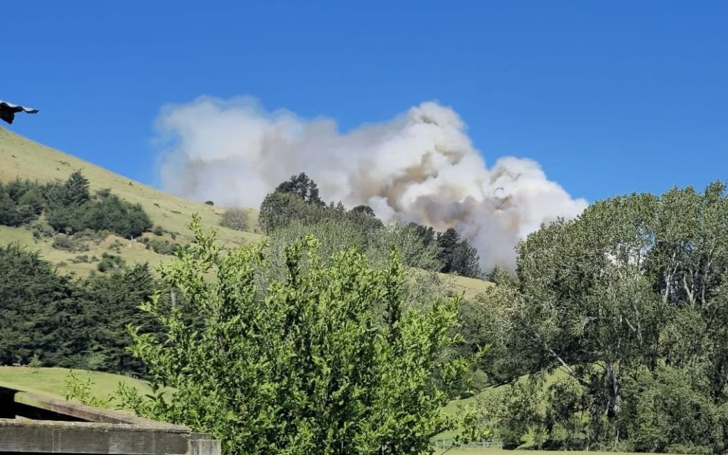 A scrub fire in Palmerston.