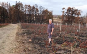 James Tilbrook in his Adelaide Hills vineyard soon after fire swept though on December 20 2019