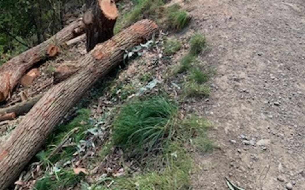 Trees felled in the Grampians Reserve with residents concerned the wood poses a fire risk heading into summer.