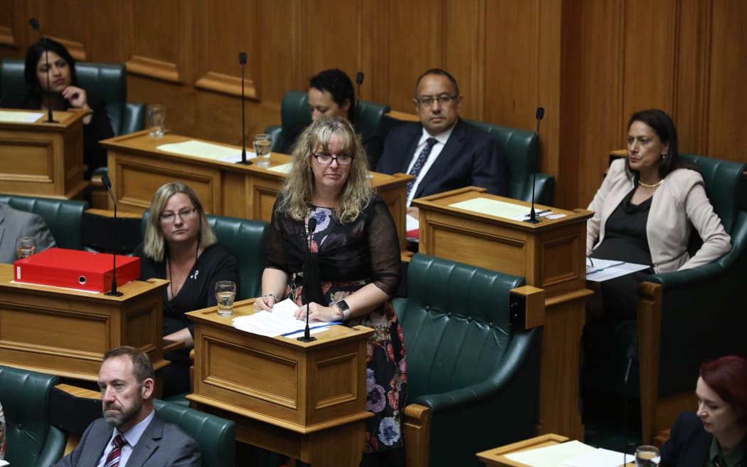Labour MP Jan Tinetti in the House 21 Feb 2018