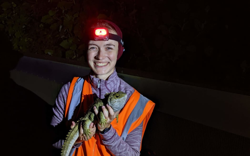 US student Cam Hoffbeck is studying a PhD in microbiology, with a focus on the gut biome of the tuatara.