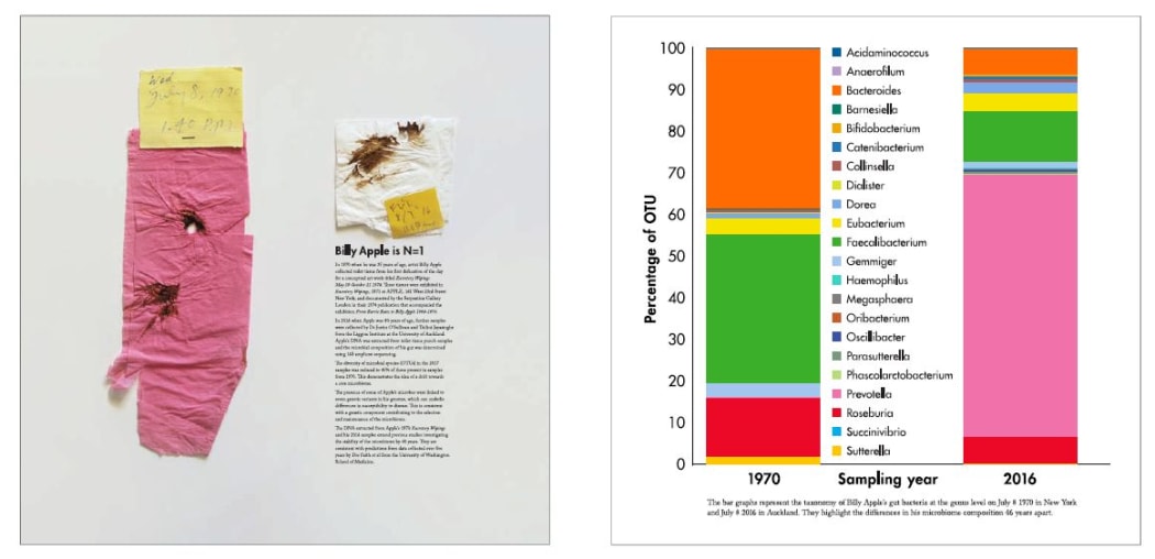 N=1 is an art work by Billy Apple. The left hand panel contains used toilet tissue from 1970 and 2016, and the bar graphs show the different proportions of microbes present in those two samples.