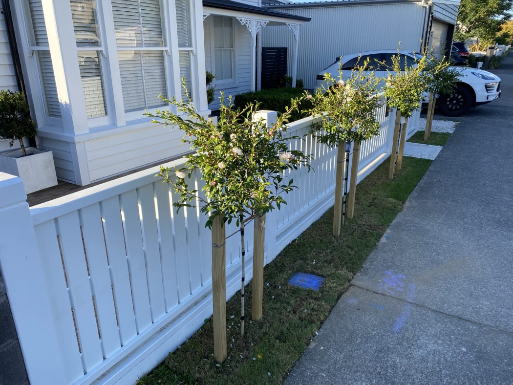 Already sporting camelias and a fence, the one metre wide strip has sparked debate