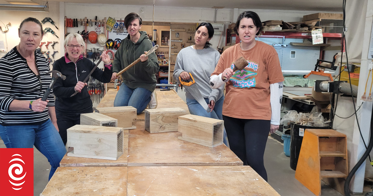 Women on the power tools | RNZ