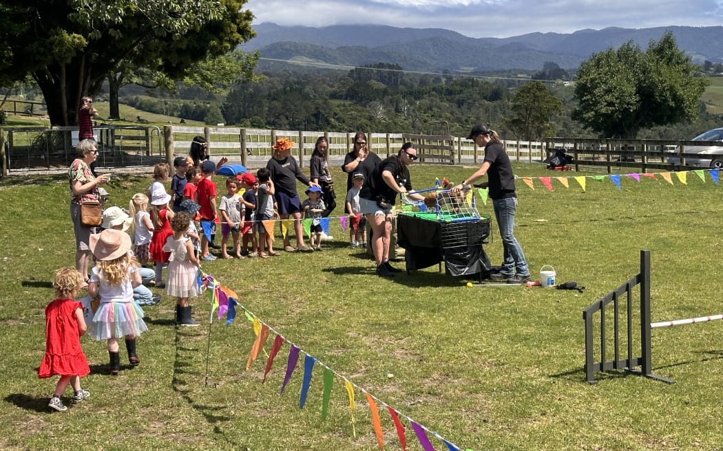Children gather to watch chickens play