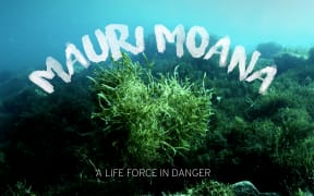 16x10 thumbnail for Mauri Moana