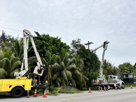 Guam Power Authority clearing trees and from powerlines.
