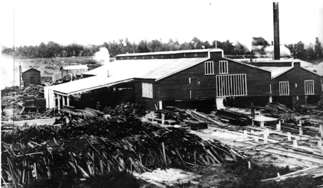 Tauranga City Library Collection 99-1367
