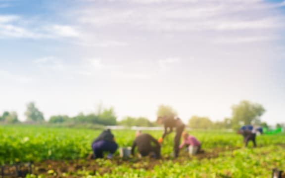 Migrant workers generic