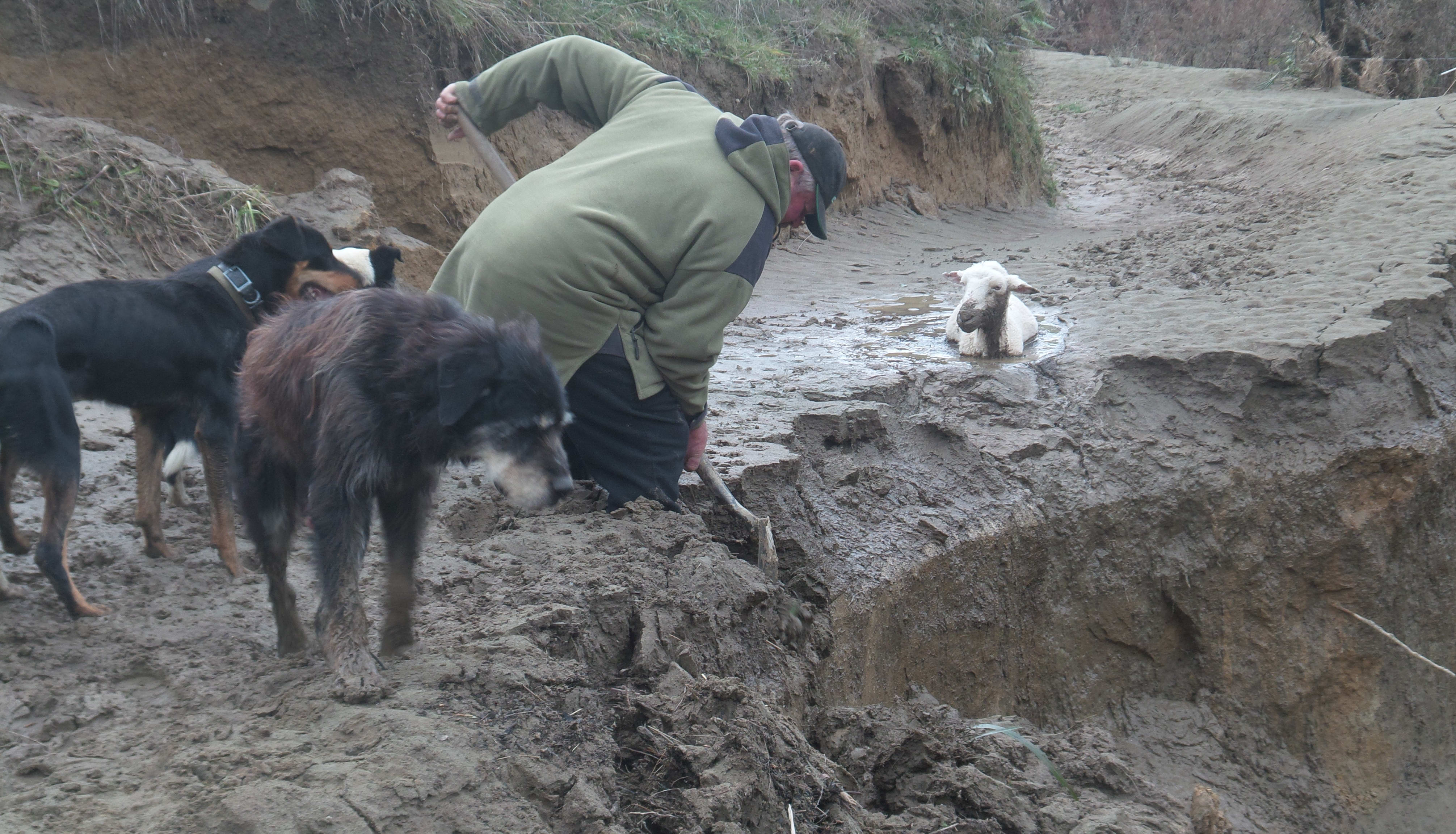 John McBride digging silt left by floods in late June.