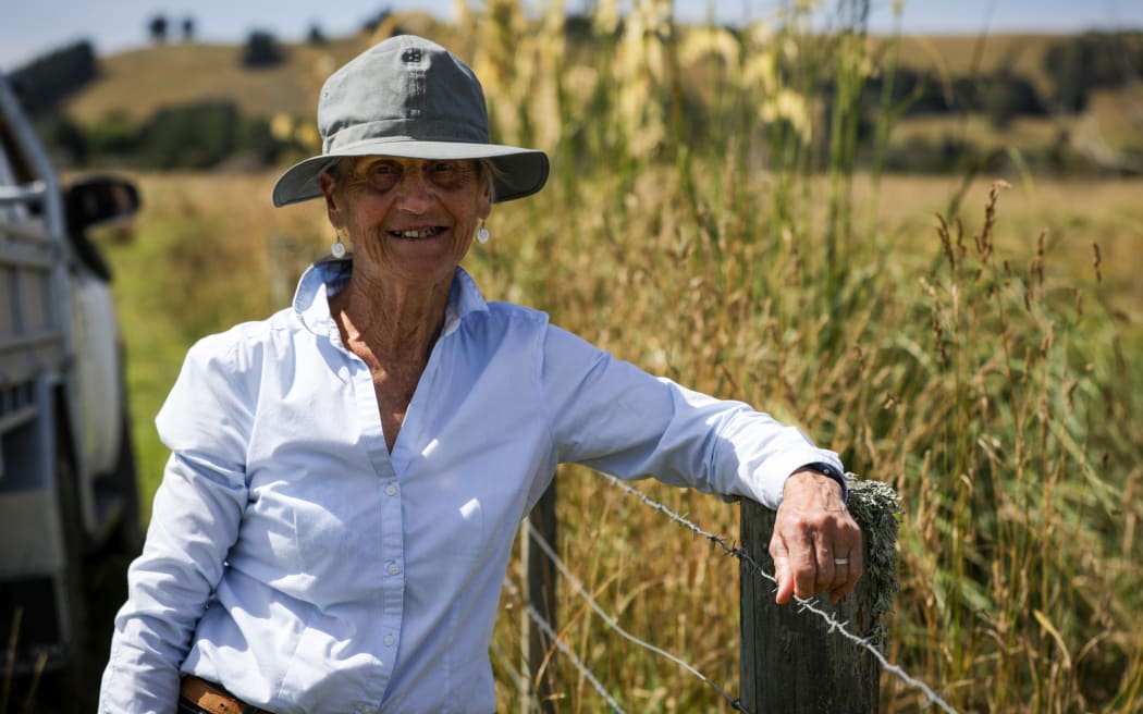 Ecan wetlands restoration work