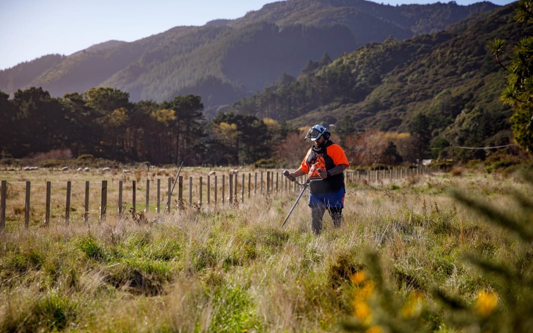 Kirihi Nohotima-Hunia works away at the Wainuiomata Coast